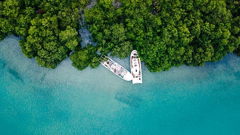 View from the light sport aircraft